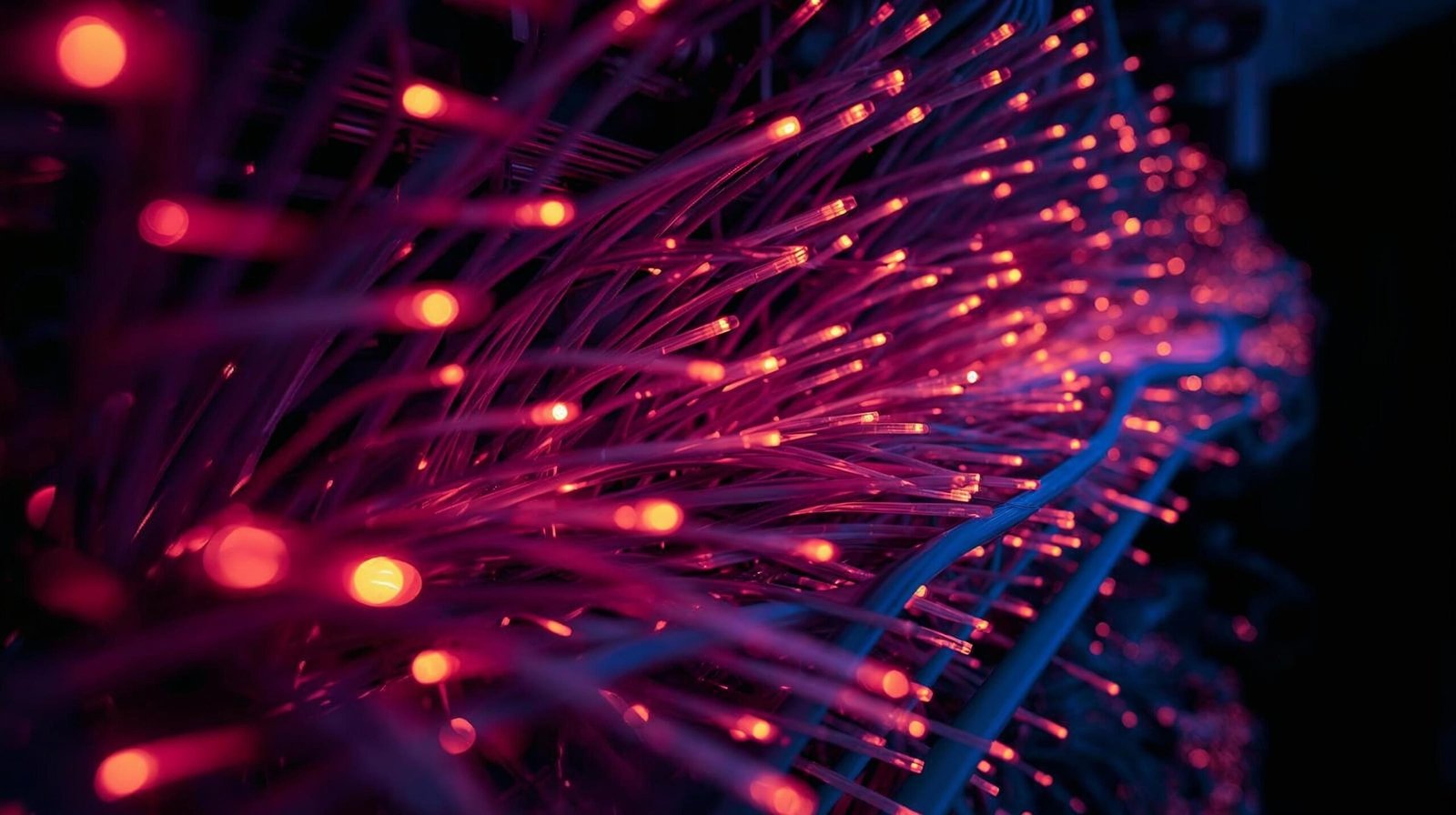 flash boys summary high speed trading infrastructure visualization