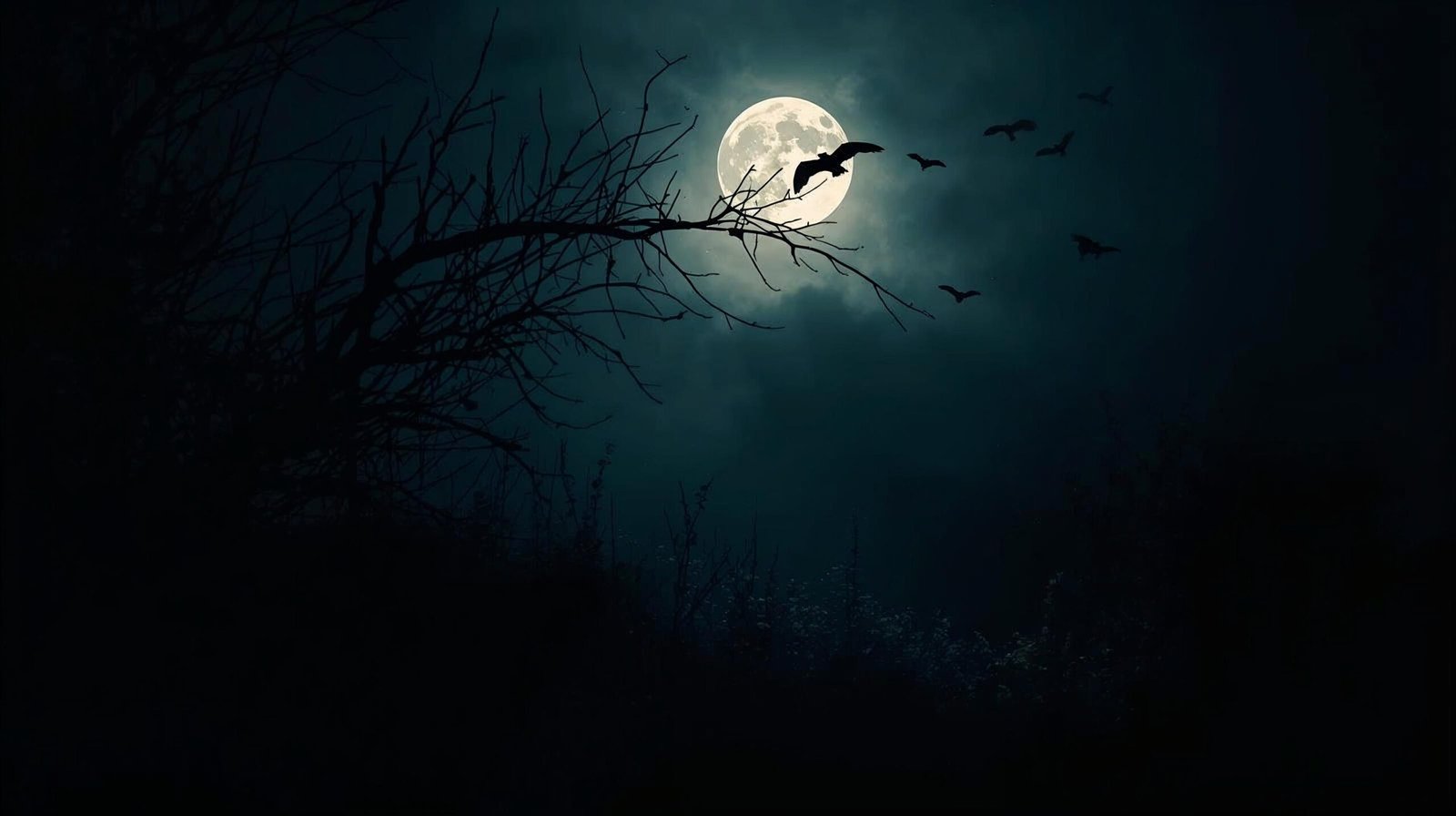 An Immense World Summary showing nocturnal animals perceiving the world at night