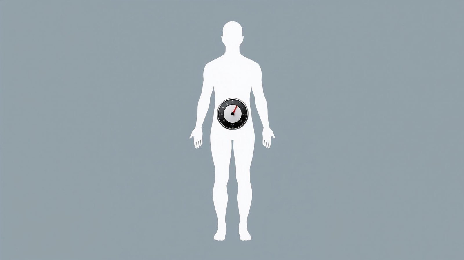 the calorie myth explains how the body regulates weight naturally